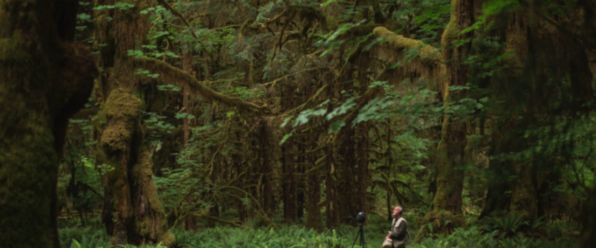 Scan 3D, radar anti-bruit et carte du silence ! 