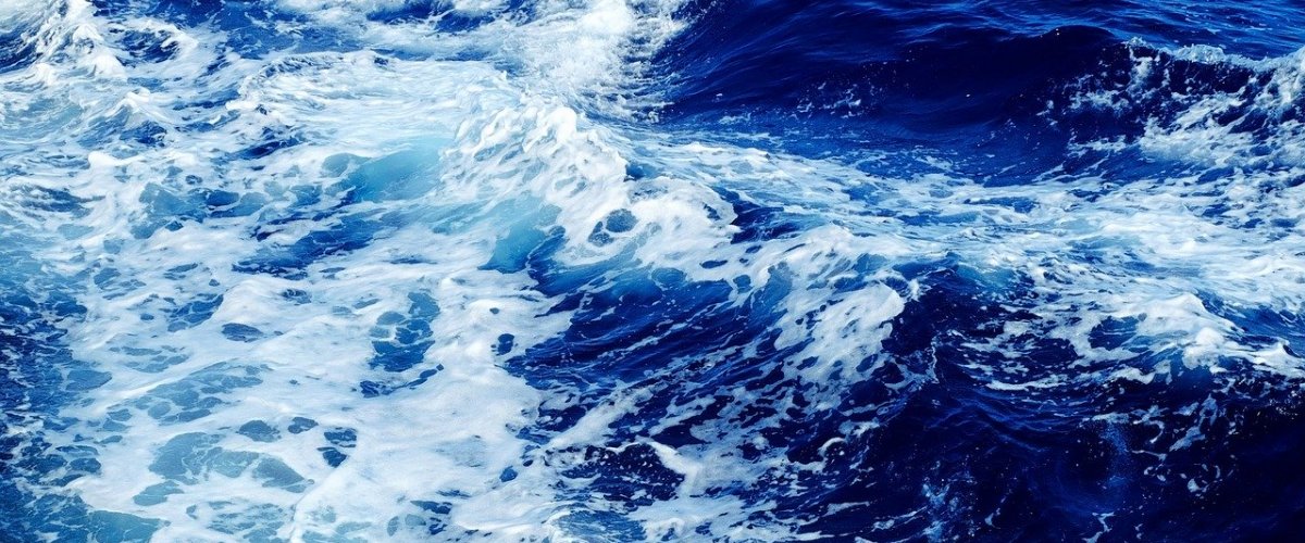 Bruit blanc, écosystème et productivité.